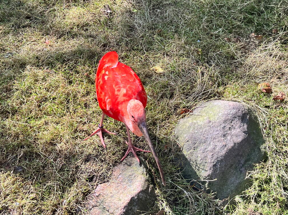 23-09-22 13-37-12 7278